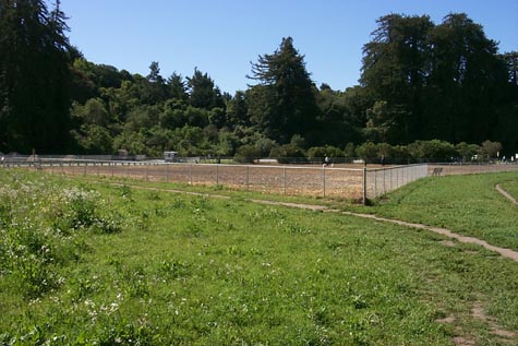 Aptos Dog Park From the Meadow